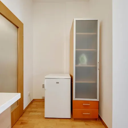 Centrum Victoria Appartement Praag